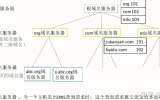域名服务器分类详解，从基础到进阶