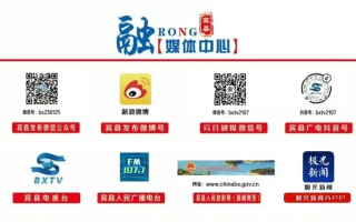 解读中国讯网，品质、内容与服务三合一的在线信息平台