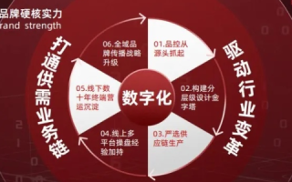 全优网络的卓越表现与未来展望，探索数字时代的领先服务商