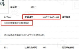 什么是域名过户，全面解析与操作指南