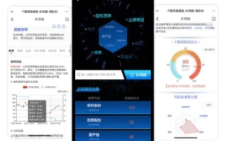 风易在线官网，数字化时代的便捷体验与风险预警