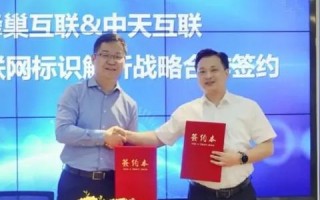 在网络中要实现域名解析服务必须通过哪种服务器才能实现