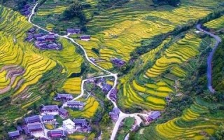 唯一网络评测，深度揭秘互联网时代的最佳选择