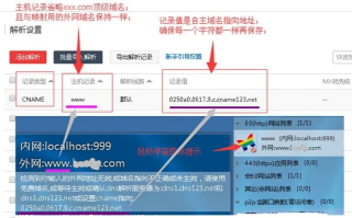 论坛域名怎么看，解析、选择与管理