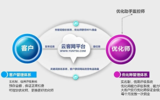 优雅绽放，网馨云的梦幻之旅