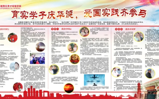 探索爱国网络的多元价值与实践路径