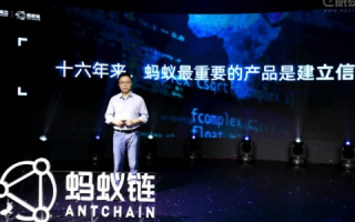 探索小蚁网络，崛起中的互联网轻骑兵
