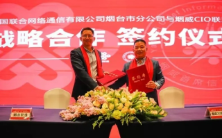 烟台通联网络，连接未来的数字桥梁