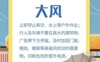 域名URL转发与IP指向的奥秘，为何能转URL却不能转IP？