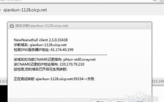 移动网络下花生壳域名解析错误及远程操控无法上线的解决方案