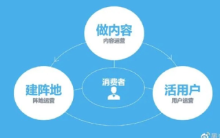 百度域名背后的故事，从创意到获得的传奇之旅