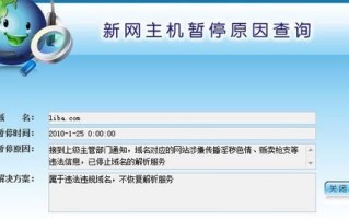 新网域名解析速度实测，速度与稳定性并重，打造高效网络体验
