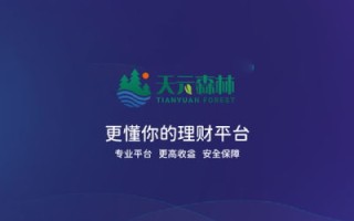测评综述，鹏诚互联—高效、安全、专业的互联网服务体验
