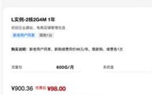 网站域名次年续费价格，为何一年比一年贵？