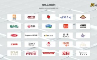 龙腾云，独特的数字化营销工具试用体验与评价