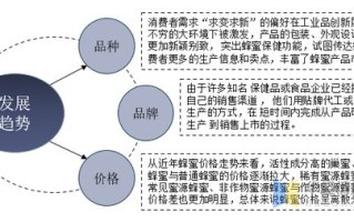 天信科技，稳定性、创新与可持续发展的探索与剖析