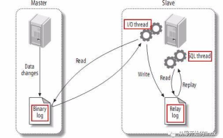 N点虚拟主机管理系统配置MySQL问题详解