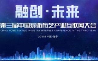 天宇网络的崛起与变革之路，一场技术与人本融合的互联网盛宴