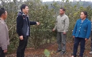 智网互联，编织未来生活的新篇章