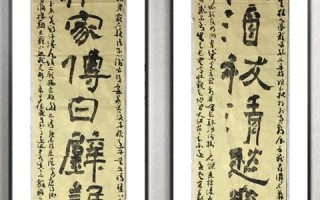 百纵科技评测，全能科技生活的探索之旅