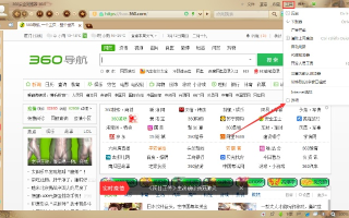 360浏览器如何打开中文域名，所需版本及操作指南