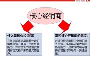虚机分销，重塑数字营销新生态的先行者