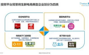 旭达网络，剖析其运营现状、优势与未来发展
