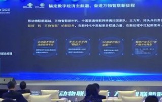 新天域互联，重塑全球数字桥梁，赋能企业国际化战略