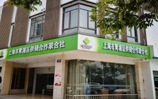 域名与空间的区别，互联网基石的奥秘
