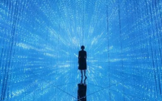 偶然网络，探索未曾涉足的网络奇境