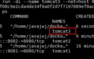 探索3E Host:深入理解其优势与潜力