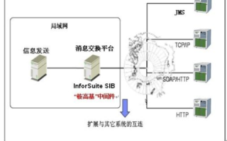 中桥网络应用体验与用户反馈全方位解析