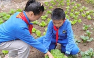 免费空间哪家最好？深度剖析免费托管服务市场