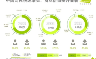 深度解析，中国顶网的现状、优势与未来展望