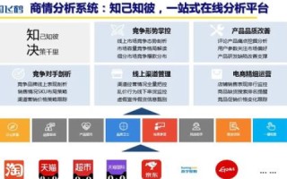 鹏诚网络官网，构建数字世界的桥梁，引领企业走向数字化转型的先锋