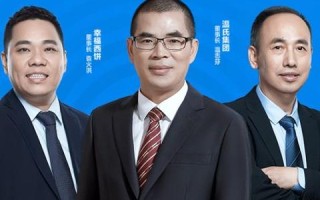 域名过户费用详解，从基础到高级的全面指南