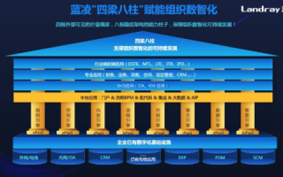 蓝欣数据，精准数据管理，驱动价值变革的引领者