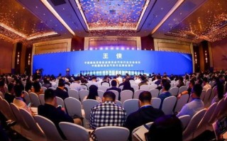 山东青岛傲盾官网，创新科技引领安全防护新时代