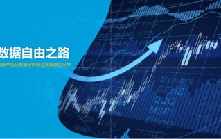 创想数据，探索数据稳定性的创新之路