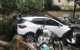 河南68数据评测，解密豫地经济发展的数字密码
