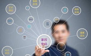 搜网络官网，精准导航网络旅途，打造数字化信息时代的桥梁
