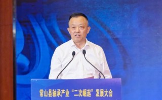 中国舜网，稳定性、挑战与未来发展