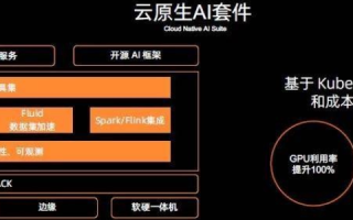 在阿里云服务器搭建自己的SaaS系统，全面指南