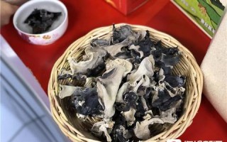 创科网络，编织未来数字生活的创新网络
