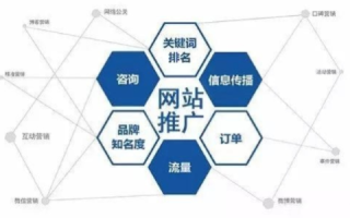 深入解析凑点网络官网背后的技术与运作模式