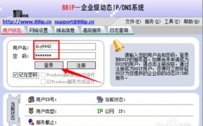 探究域名绑定多个IP背后的原因与影响