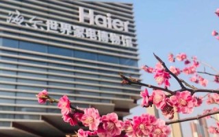 一直在从云服务器同步设置怎么办？优化策略与解决方案