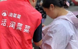 菜菜互联，重塑农业生态，赋能智慧农业的绿色征途