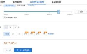 服务器租用100M，解析、选择与应用