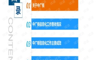 用户分享，揭秘顶点互联的使用心得与体验感受